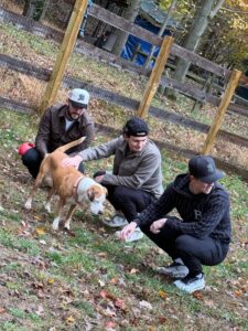 569156164_17914134033212176_2430139758700235892_n